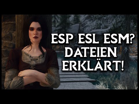 Die Bedeutung von Dateien in Skyrim erklärt! | (ESM ESP ESL BSA) SKYRIM MODDING 2021