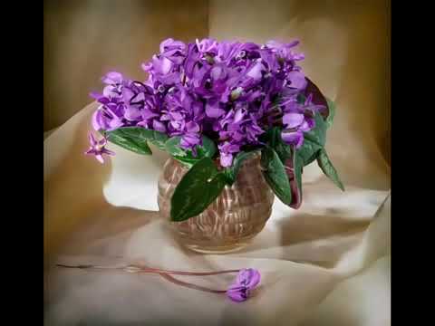 ნუგზარ კობერიძე - \"გამხმარ იებს\" ( პოეტი ნუგზარ კობერიძე, კომპოზიტორი ნუგზარ თუშიშვილი ).