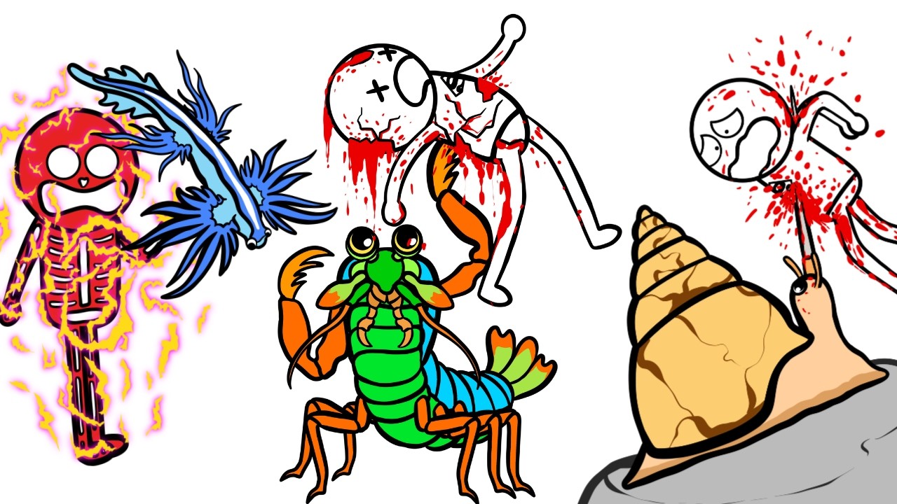 Why You Wouldn’t Survive These Cute Ocean Killers