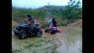 Raptor Renegade Dzeki I Łysy