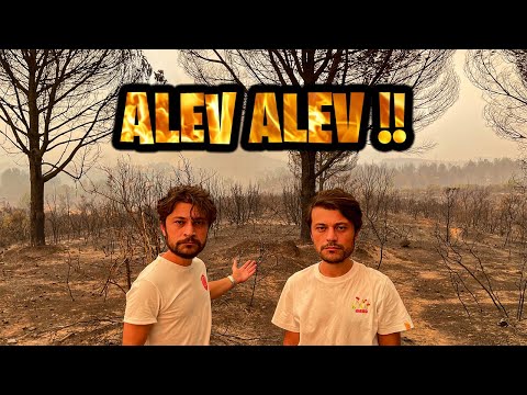 Video: Yanğından Zədələnmiş Ağaclara Yardım - Yanğın nəticəsində zədələnmiş ağacları necə xilas etmək olar