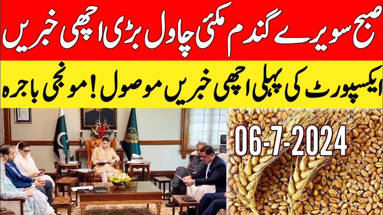gandam rate today/wheat price today in punjab/ Makki ka rate today ...