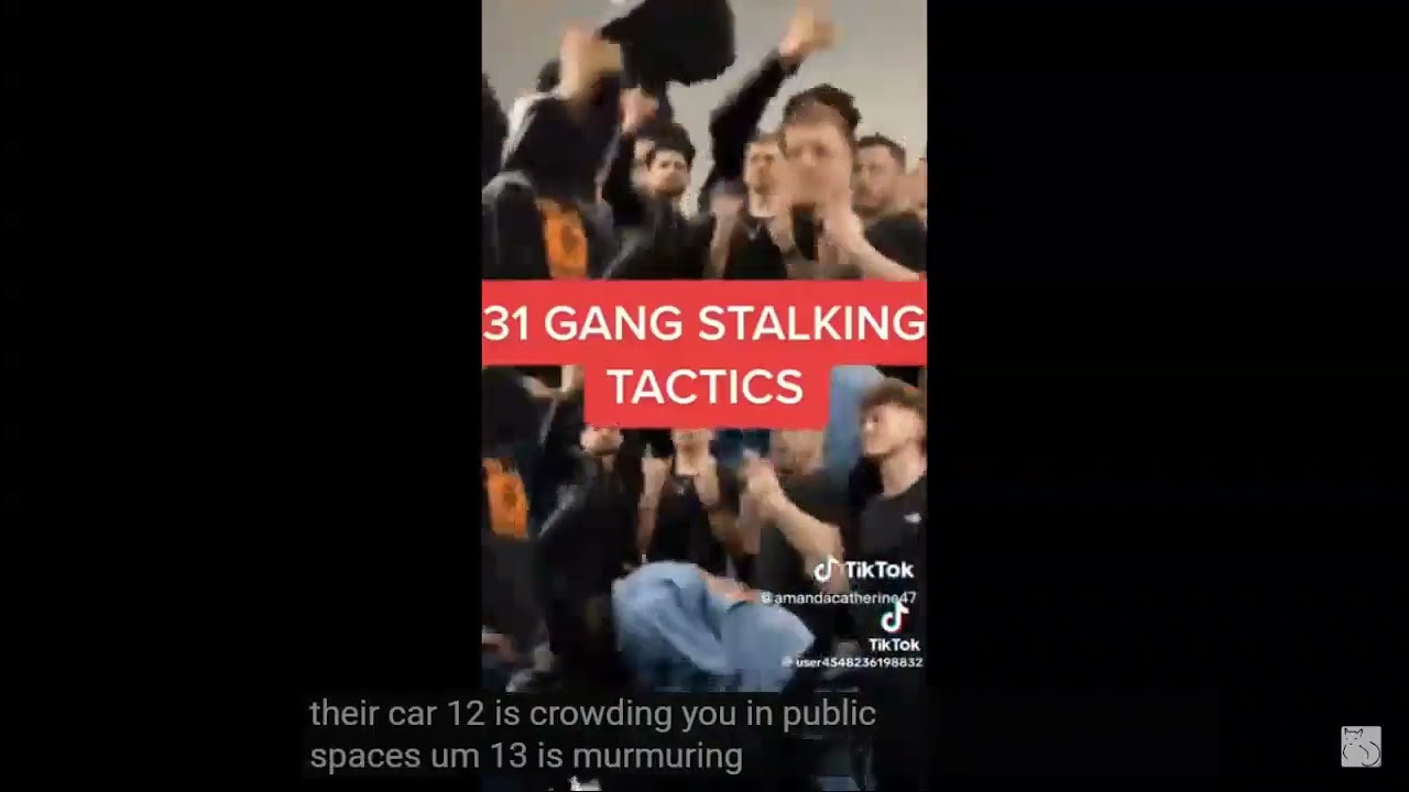 31 Gang Stalking Tactics ~ TI's Targeted Individuals ~ Harassment and Surveillance