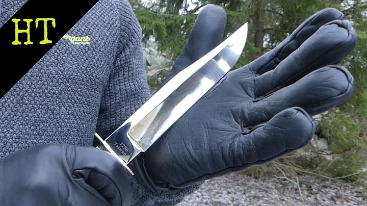 Cut Proof Gloves | Guardior