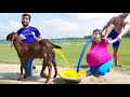 Must Watch New Special Comedy Video 2023 😎Totally Amazing Comedy Episode 230 by Busy fun ltd