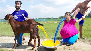 Must Watch New Special Comedy Video 2023 Totally Amazing Comedy Episode 230 by Busy fun ltd