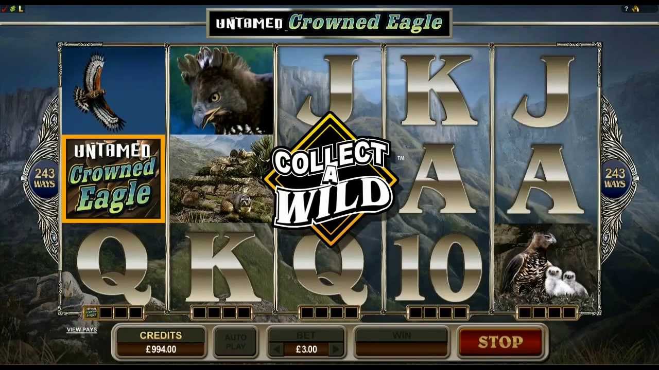 untamed crowned eagle игровой автомат