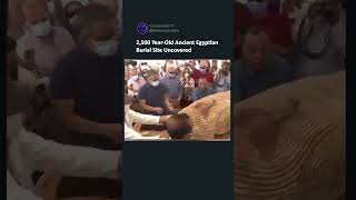 Archaeologists Unveil Ancient Egyptian Remains