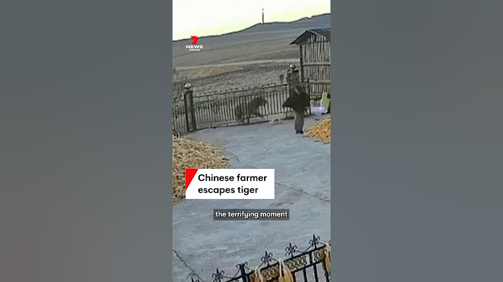 Chinese farmer escapes mauling from Siberian tiger