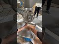 nutmeg powder pin mill spice powder pin mill contraplex pin mill molino spice powder machine