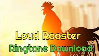 Download lagu Loud Rooster Ringtone Download