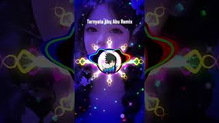 Download Lagu DJ Remix Ternyata Abu Abu 3 Menit