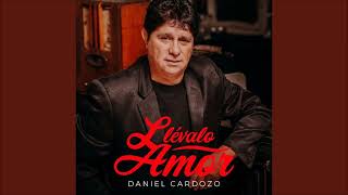 Video thumbnail of "Daniel Cardozo - Te Llamé"