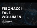 FIBONACCI - FALE - WOLUMEN. Startuje największy profesjonalny kurs tradingu w Polsce!