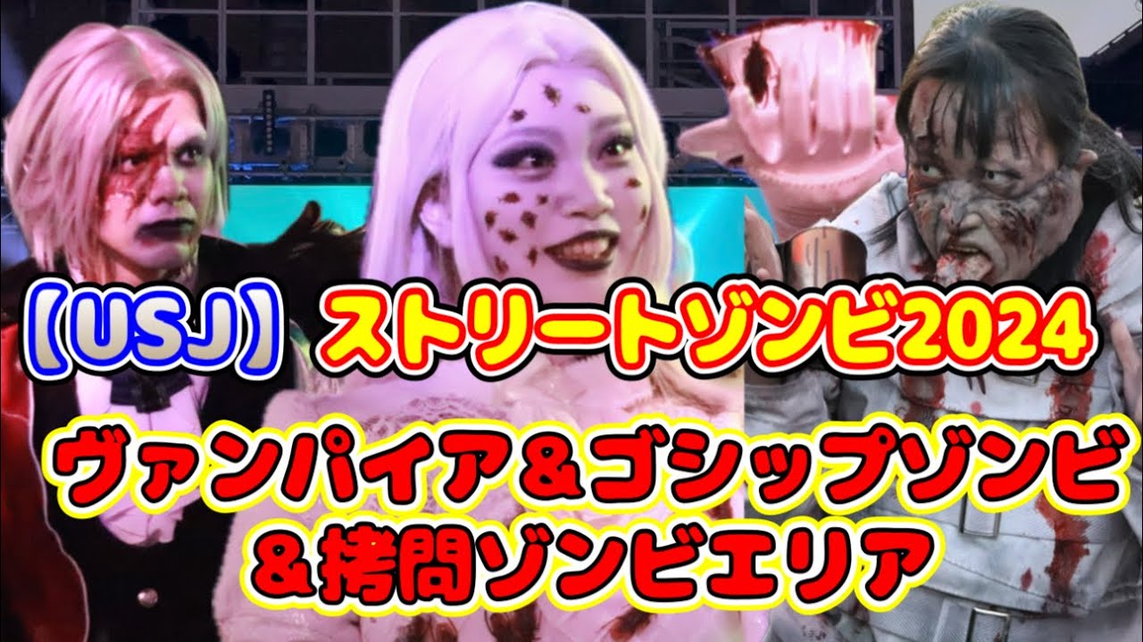 動画を再生