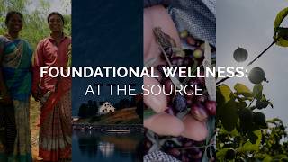 Foundational Wellness: At The Source