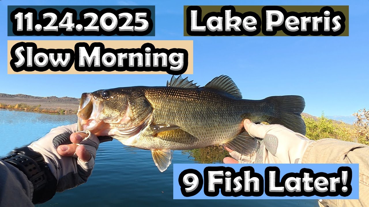 Lake Perris Bass Fishing: Morning bite was tough. Managed 9 fish!