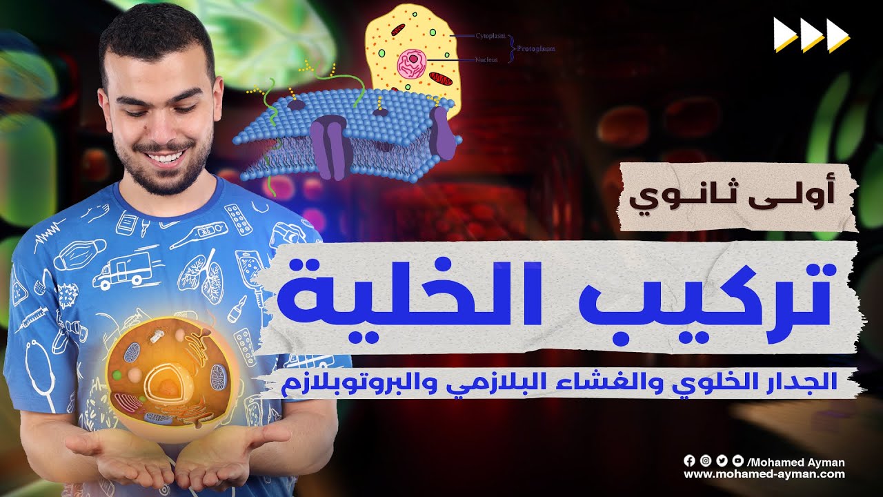 أحياء أولى ثانوى وتركيب الخلية🧠-الجدار الخلوى والغشاء البلازمى والنواة- درس مهم وممتع‼️