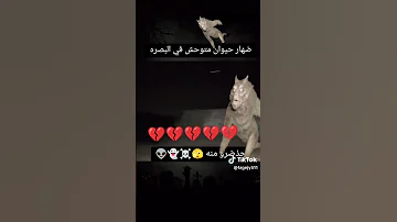 دراكولا في البصره 