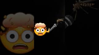 muskito is a singer #viral #meme #gaming #rival #muskito