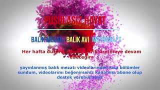 Pusulasiz Hayat K Tanitimi..balik Mezatlari
