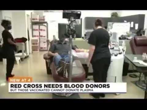 🚨הצלב האדום האמריקאי: חוסנים לא יכולים לתרום דם!