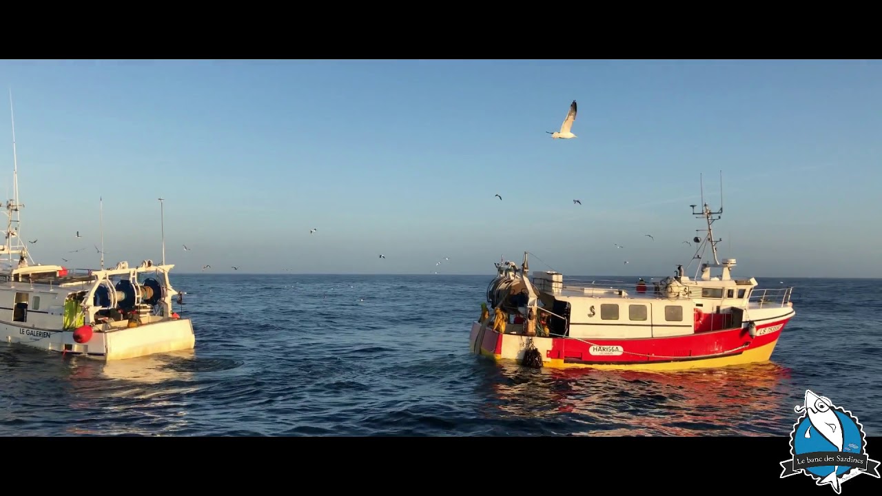Le Banc des Sardines