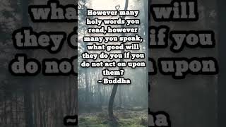 #buddha #karma #quotes #spiritualawarness #spirituality #thoughts #shortvideo #shorts #motivation
