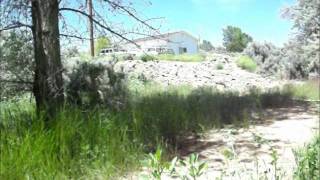 Doctor Whovian - The Creepy Shadows