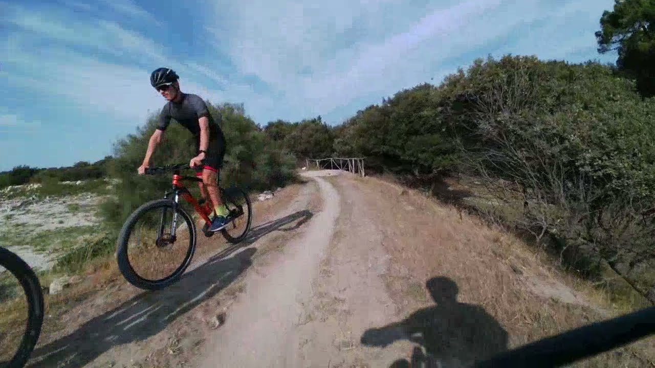 MTB in bicicletta nella Pineta tra Lido delle Nazioni - Lido di Volano
