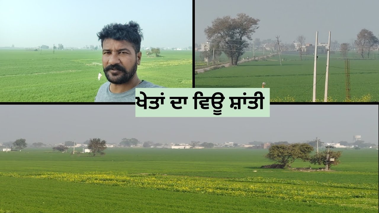 ਖੇਤਾਂ ਦਾ ਵਿਊ