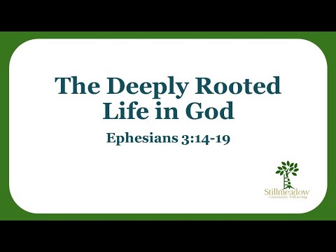 The Deeply Rooted Life in God