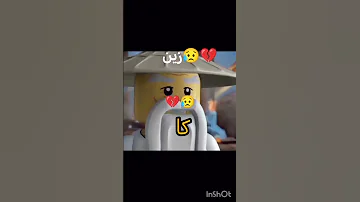 زين نينجاغو نينجاغو زين 