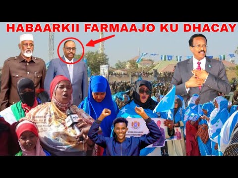 DEGEG NABSIGII FARMAAJO KASOO IFBAXAY AXMED MADOOBE IYO DENI OOHIN AFKA FURTEEN DAAROOD BARYEEN XOG