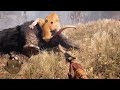 Far Cry Primal The Flamefang Sabertooth Tiger vs The Ashback Mammoth