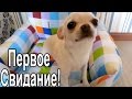 VLOG: Макин первый раз / Вкусняшки / Домашний боулинг