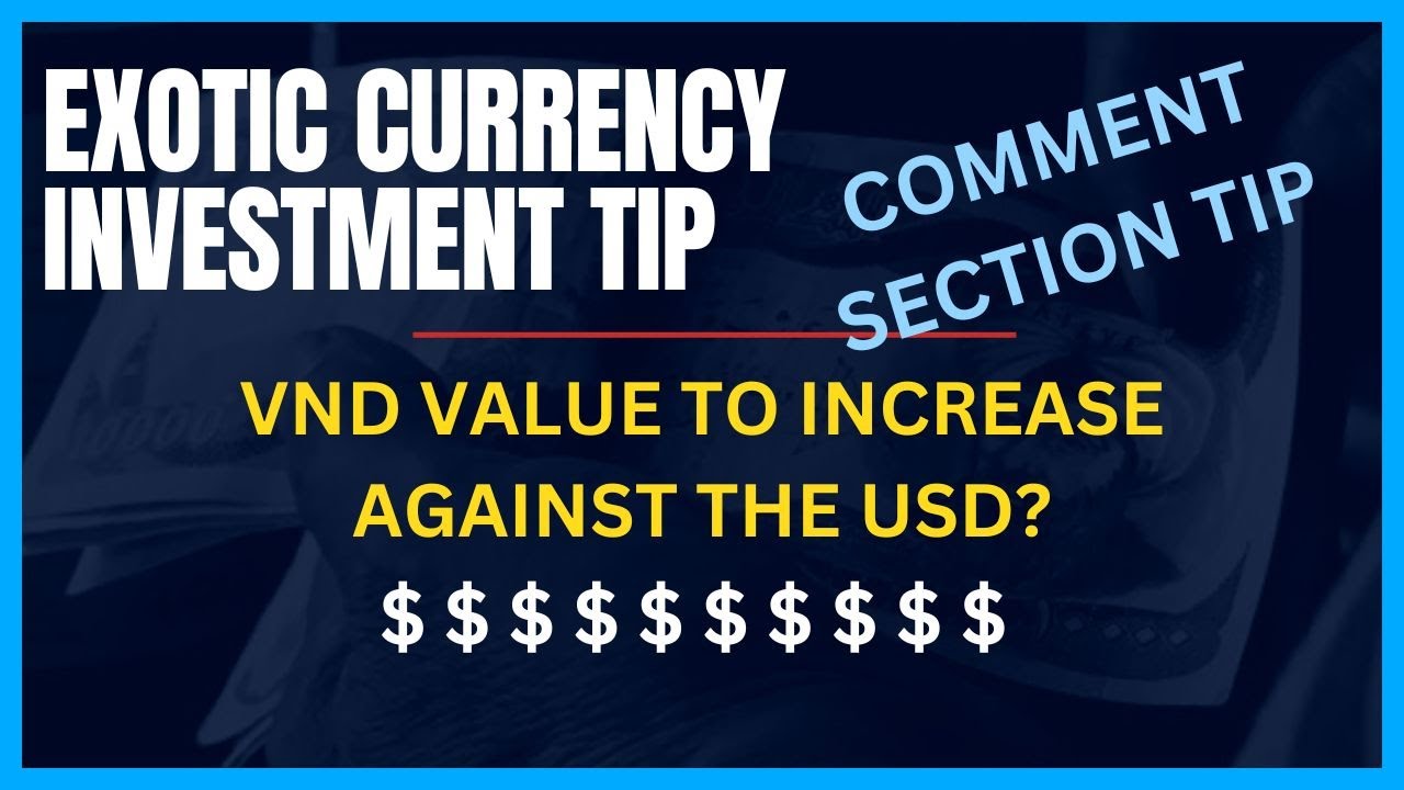 VND Investment Tip 