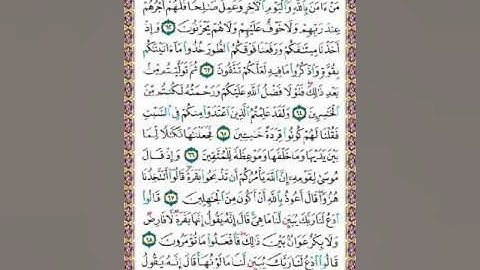 سورة البقرة ص10/المنشاوي