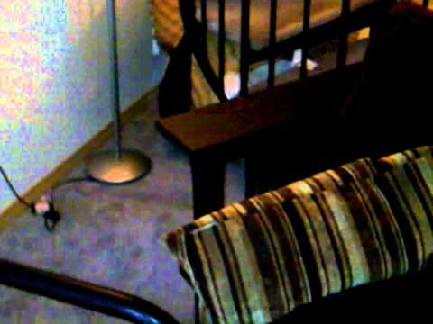 Craigslist Houston TX: Score Amazing Furniture For Cheap!