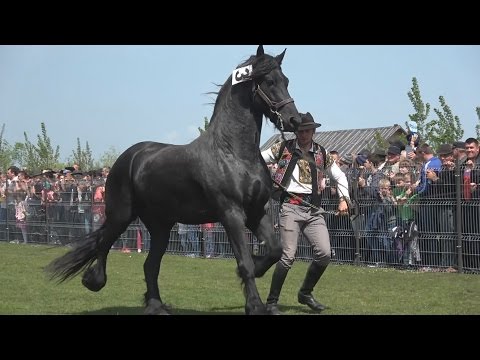 Video: Cum Se Ajunge La Parada