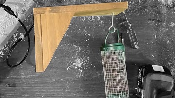 Green Feathers Bird Box Nest Camera Installed on a Bird Feeder