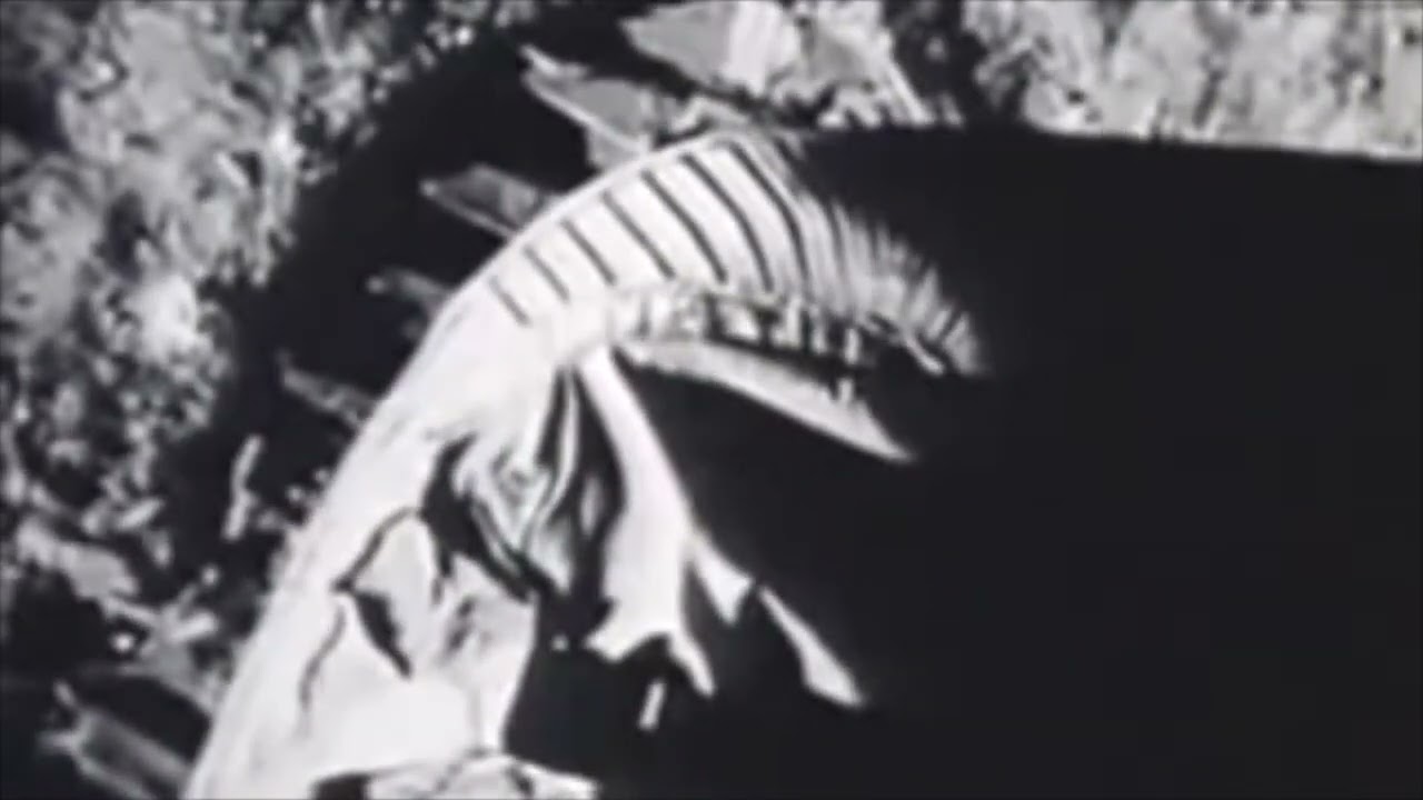 Neil Armstrong First Moon Landing - Prep Class A