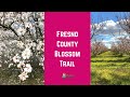 Fresno County Blossom Trail
