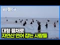 초대형 뜰채로 자연산 연어 잡는 알래스카 사람들｜인간과 바다｜#골라듄다큐