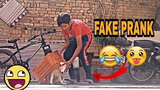 FAKE PRANKS ON MY DOGS 🤣🤣🤣 #youtube #prank #dog