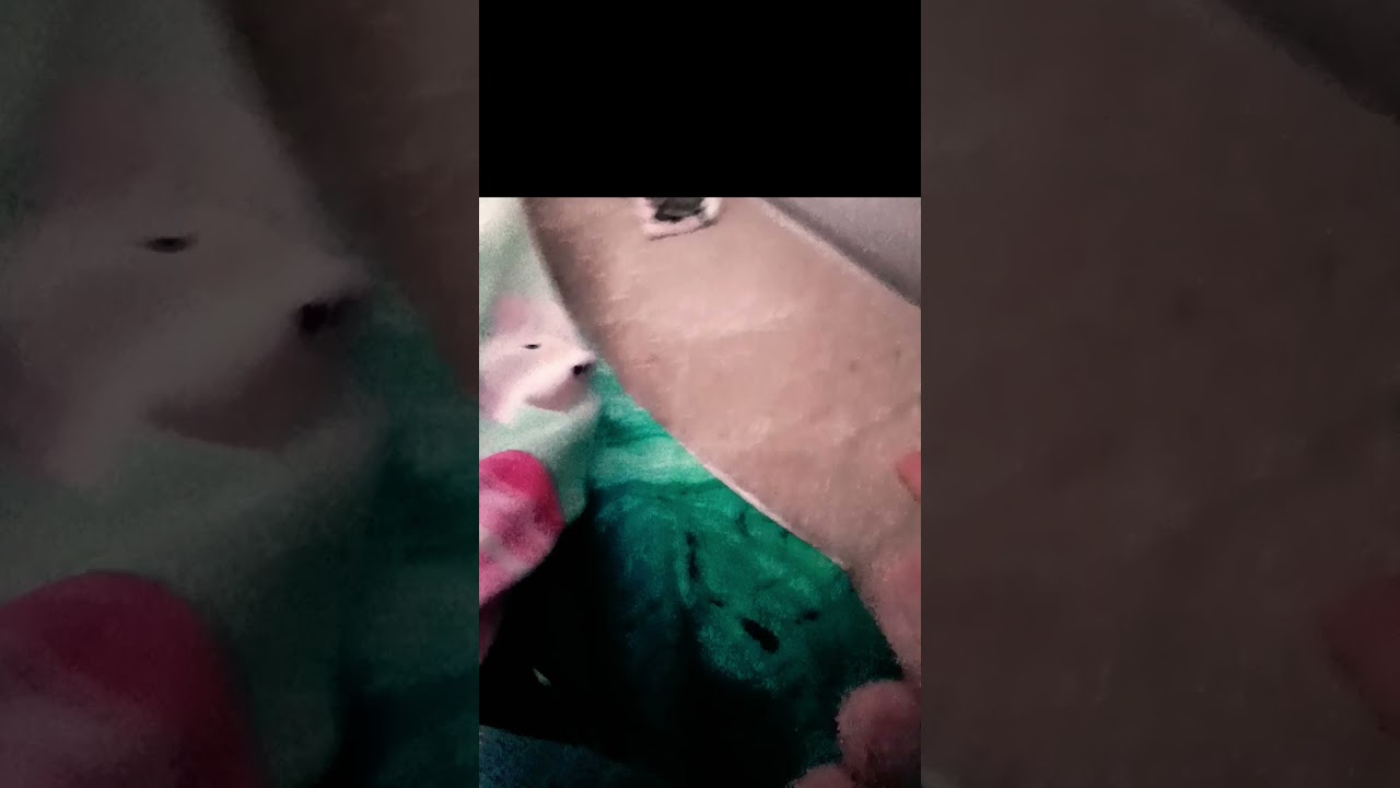 yesterday's post for days 33 and 34 of drawing/ animating untill I'm famous 