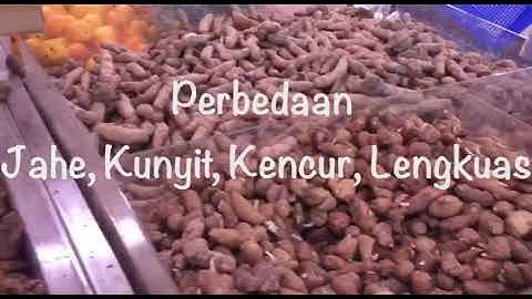 Perbedaan Jahe, Kunyit, Kencur, Lengkuas