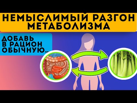 Эти продукты усилят МЕТАБОЛИЗМ и ускорят ПОХУДЕНИЕ!