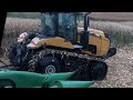 Harvesting Corn in the Mud Before the Rain