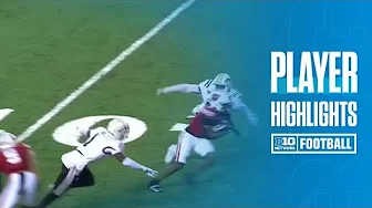 Will Pauling Highlights vs. Western Michigan Broncos | Wisconsin Football | 08/30/2024 thumbnail